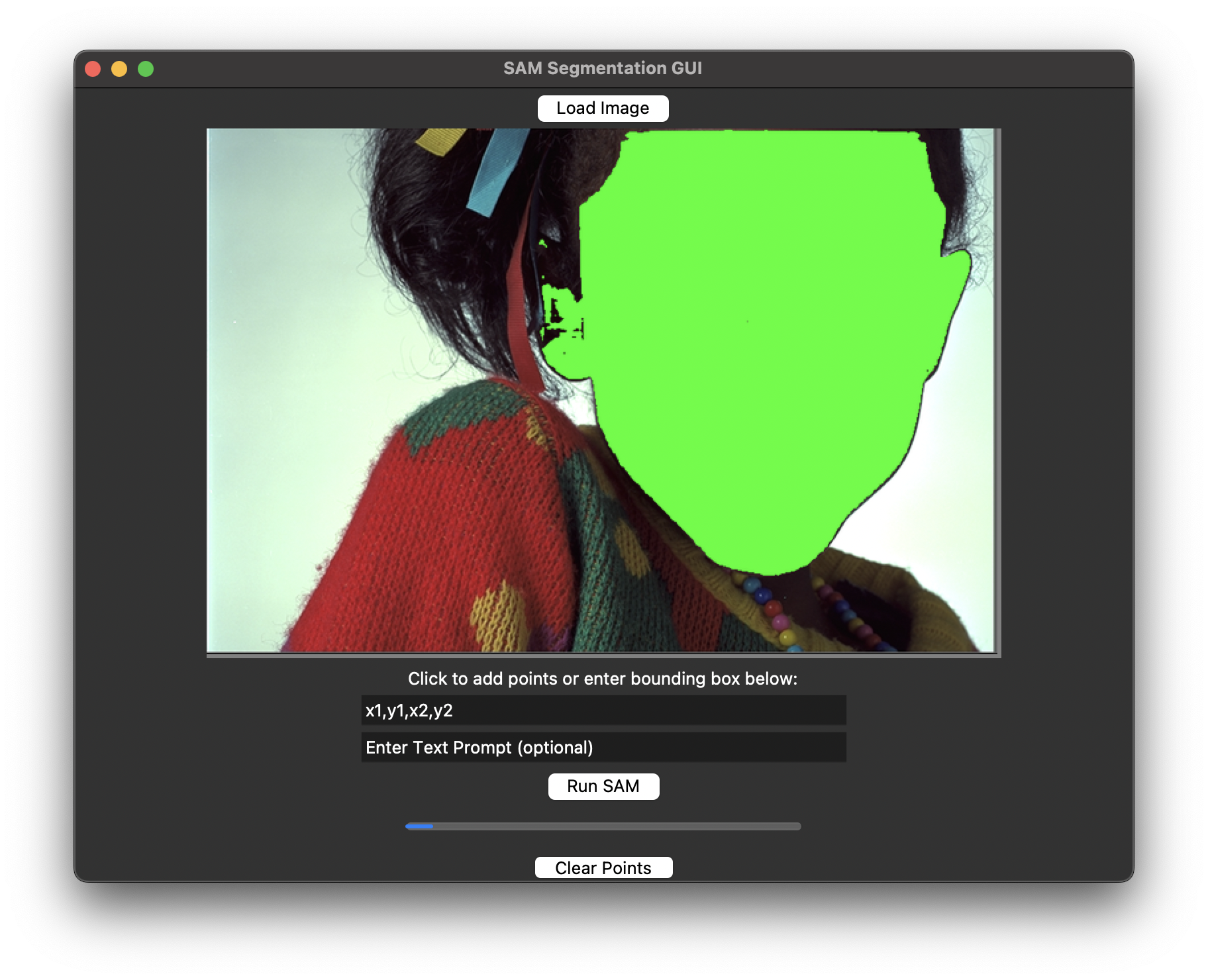 Segment Anything GUI